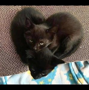 Meet your Posher, Jean